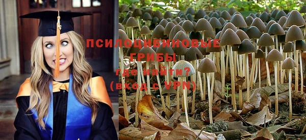 твердый Алексеевка