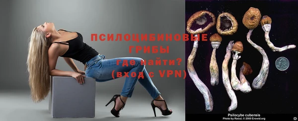 твердый Алексеевка