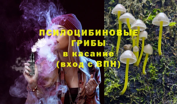 твердый Алексеевка