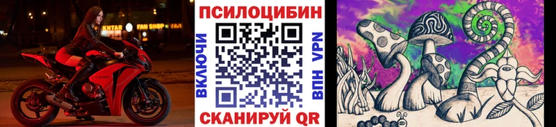 Псилоцибиновые грибы Psilocybe  omg tor  Дмитров 