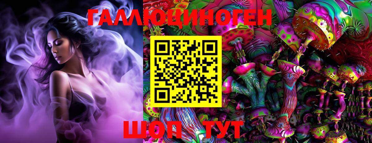 Дмитров  Галлюциногенные грибы Psilocybe  Вход с VPN 