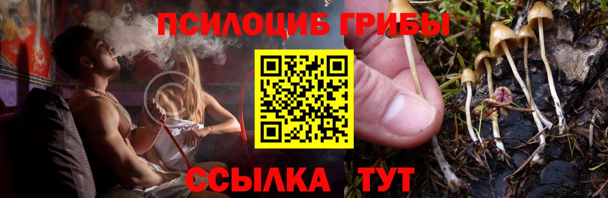 Псилоцибиновые грибы мицелий Дмитров